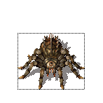 传奇暴牙蜘蛛0属性